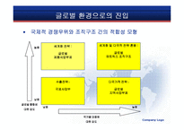 [경영조직] 국제 환경에서의 조직설계-8