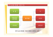 [마케팅] 기능성 화장품 시장 마케팅 전략-14