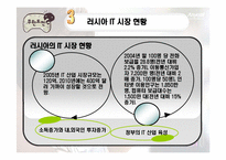 [국제경영] 삼성전자 국제경영의 대한 연구 -애니콜 러시아 진출 사례-5