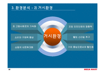 [마케팅사례] 메가마트(Megamart, 매가마트) 기업분석-10