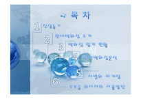 현대백화점 기업 분석과 발전 전략-2