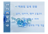 현대백화점 기업 분석과 발전 전략-5