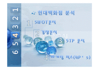 현대백화점 기업 분석과 발전 전략-12