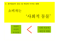 [소비자행동] 준거집단과 소비자-19