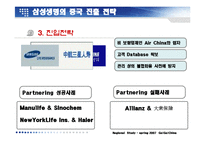 [국제경영] 삼성생명의 중국 진출 전략-10