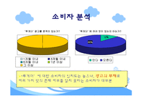 [마케팅] 빙그레 투게더의 마케팅 전략 방안-13