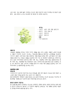 [소매업 경영론] 700마켓 성공전략-7