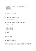 [마케팅사례] 메가마트(Megamart, 매가마트) 기업분석-3