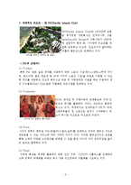 [호텔경영, 리조트산업] 세계적인 리조트 시설과 국내 리조트 시설 비교,분석-6