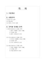 [국제마케팅] 애니콜 지역별 마케팅 전략-1