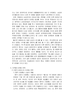 [국제마케팅] 애니콜 지역별 마케팅 전략-8