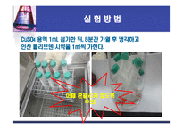 [화학공학] 포도당 농도측정-14