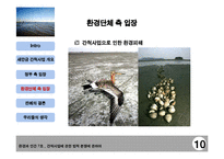 [법학] 새만금 간척사업을 통하여 본 환경에 관한 법적 분쟁-12
