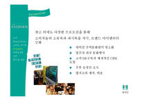 [소비자행동] 래미안 한국인의 소유욕, 과시욕을 이용한 마케팅 성공 사례-9