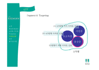 [소비자행동] 래미안 한국인의 소유욕, 과시욕을 이용한 마케팅 성공 사례-12