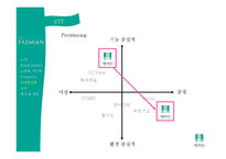 [소비자행동] 래미안 한국인의 소유욕, 과시욕을 이용한 마케팅 성공 사례-13