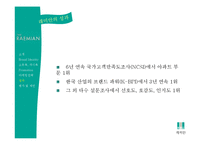 [소비자행동] 래미안 한국인의 소유욕, 과시욕을 이용한 마케팅 성공 사례-15