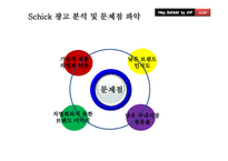 [광고관리론] Schick(쉬크)의 IMC전략-11