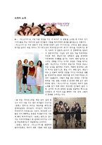 [미디어와 젠더] 드라마 속 한국 여성 -`로맨스헌터`와 `섹스&시티` 비교를 통하여-2