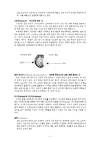 칼 융 분석심리학-4