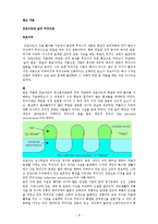 칼 융 분석심리학-9