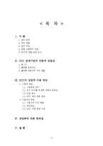 UCC 동영상 상업화 경향에 관한 연구-2