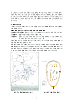 [한국고대사] 가야 체제정비-11