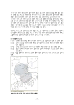 [한국고대사] 가야 체제정비-17