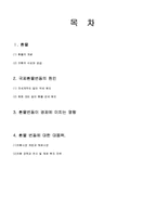 [외환론,외환,환율,금융] 국제환율변동의 원인과 전망-1