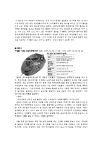 [마케팅] 그린마케팅의 전략과 필요성fp-12