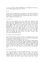 [국제마케팅] 서브웨이 경영과 마케팅-10