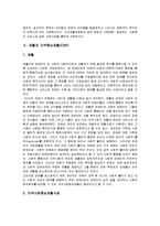 [사회복지학]우리나라 장애인 복지의 현황과 문제점 및 해결방안(A+리포트)-16