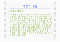 [사업계획서] 안경 쇼핑몰(브랜드명 : YENI mall)-9