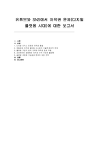 유튜브와 SNS에서 저작권 문제(유튜브와 SNS- 디지털 플랫폼 시대)에 대한 저작권 보고서-2