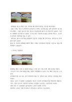 조리원리) 다음은 찹쌀로 인절미를 만드는 실험이다 1전분의 호화 및 노화의 원리를 설명하시오 2제시된 방법에 따라 실험을 실시한 다음 (A 시료) 인절미와 보관 방법을 달리한 (B시료), (C시료) 인절미-4