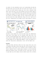회계) 포스코 그룹의 기업가치평가 ( 재무제표분석 , 기업미래이론 등 포함 논문형식) (2)-14
