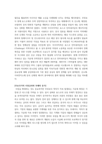 회계) 포스코 그룹의 기업가치평가 ( 재무제표분석 , 기업미래이론 등 포함 논문형식) (2)-17