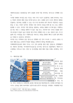 국제경영) 국내외 기업의 국제경영 성공사례 내용-6