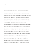 인지주의 이론에 대한 내용과 개념을 서술한 후 인지발달 4단계에 대해서 구체적으로 논의-2