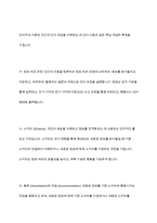 인지주의 이론에 대한 내용과 개념을 서술한 후 인지발달 4단계에 대해서 구체적으로 논의-5