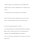 인지주의 이론에 대한 내용과 개념을 서술한 후 인지발달 4단계에 대해서 구체적으로 논의-11