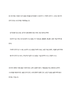 인지주의 이론에 대한 내용과 개념을 서술한 후 인지발달 4단계에 대해서 구체적으로 논의-14