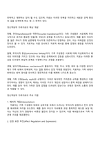 정신역동적 가족치료의 주요 기법에 대해 논하시오-2