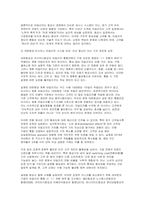 대한항공 아시아나항공 합병과 마일리지 통합의 구조적 문제와 글로벌 기준 비교(항공사 합병과 마일리지 통합)-5