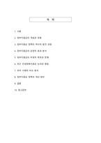 국민 대상 정부지원금 정책의 긍정적 효과와 부정적 측면에 대한 종합적 분석-2