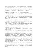 [임신성 고혈압 문헌고찰 및 간호 케이스] 임신성 고혈압 병태생리,원인,증상,치료법 연구 / 임신성 고혈압 간호목표,간호계획,간호중재,간호평가-11