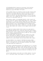 [폐렴 문헌고찰] 성인간호학실습 폐렴 케이스-5