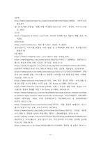 항공경영 ) 국제적인 성공을 거둔 저비용 항공사 1개사를 선택하여 아래와 같은 항공사의 성공요인분석을 조사-13