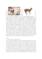 멸종위기 야생생물에 관하여 조사하시오-3