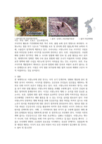 멸종위기 야생생물에 관하여 조사하시오-5